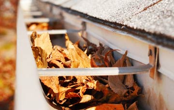 Heath Common gutter cleaning companies