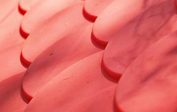 Heath Common plastic roof costs