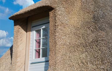 Heath Common thatch roof disadvantages